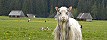 postrehy z prv�ho d�a